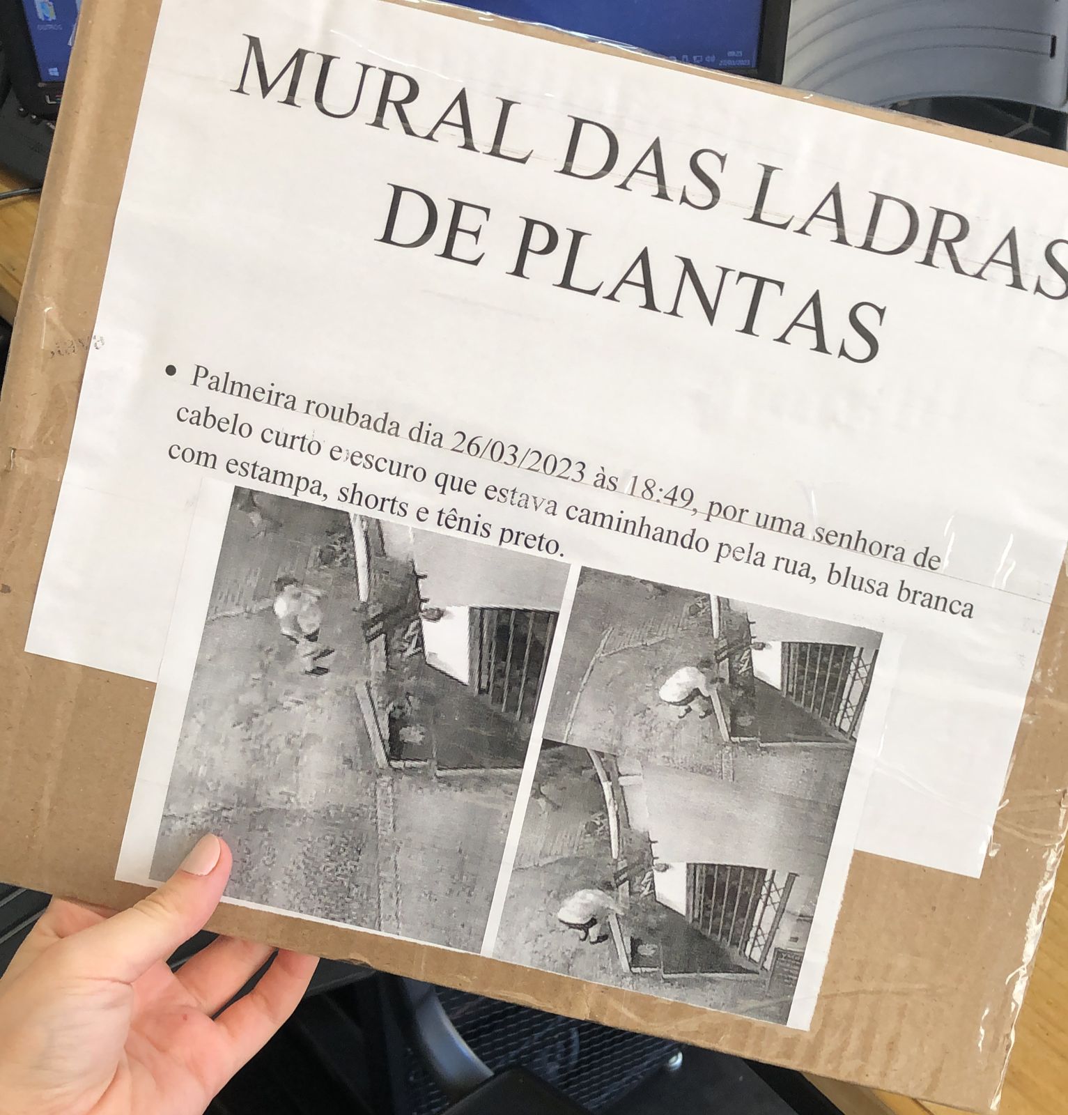 Câmeras de monitoramento flagram mulher furtando plantas de palmeiras