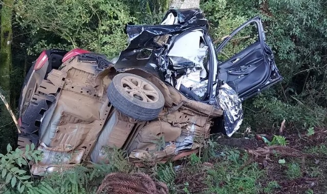 Três jovens morrem após carro colidir contra árvore PP News FB