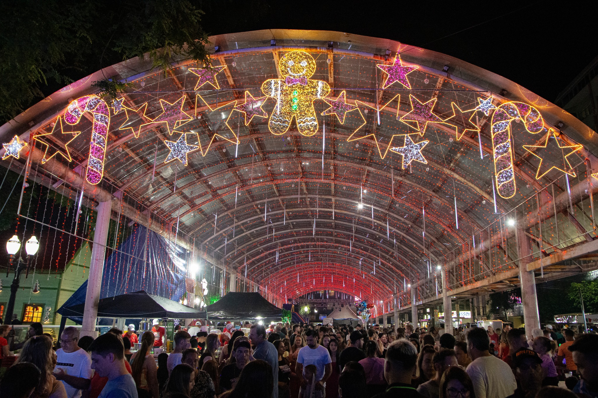 Confira a programação do Natal Encantado neste sábado e domingo - PP News FB