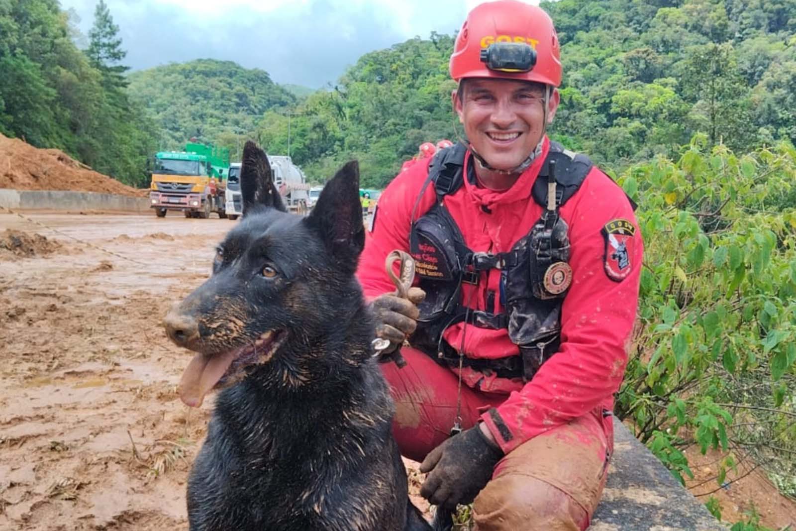 Paraná vai enviar novos bombeiros com cães de busca para o Rio Grande do Sul