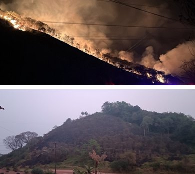 Incêndio de grandes proporções atinge área de vegetação