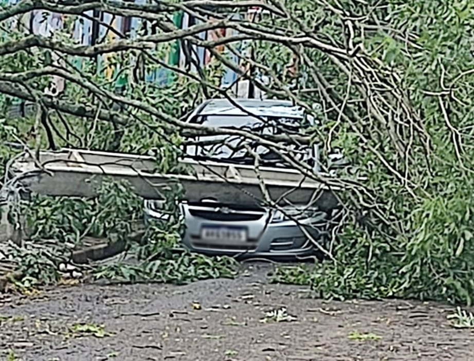 Temporais causam muitos estragos nesta quinta-feira