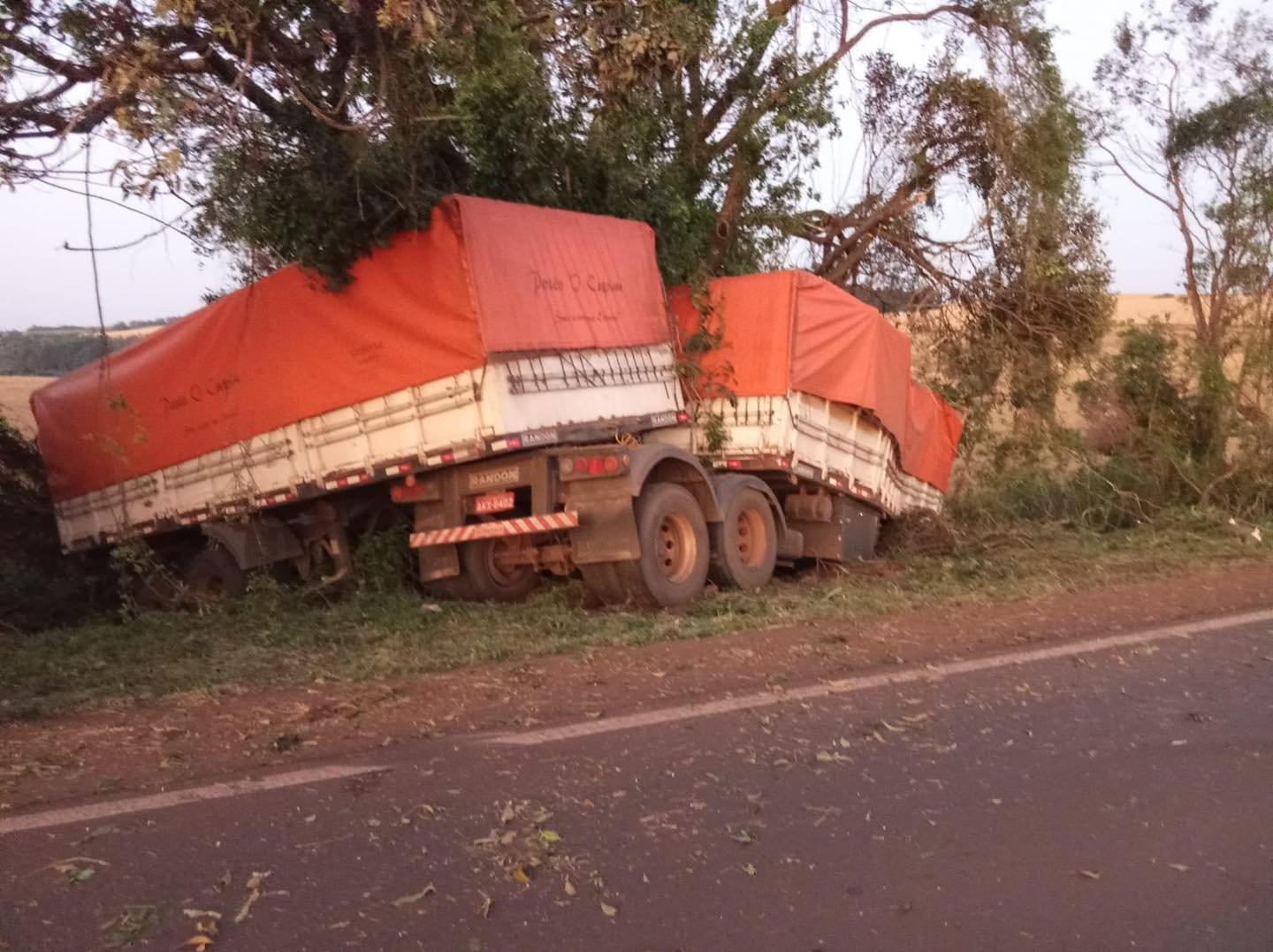 Caminhão sai da pista na PR-281 e bate contra árvores