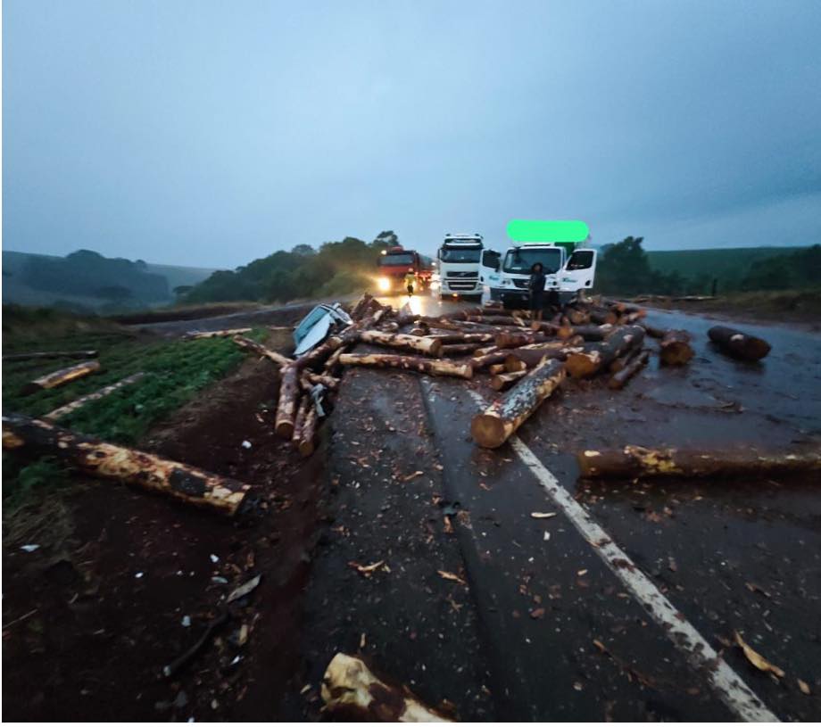 Carga de toras de madeira cai de caminhão e atinge três veículos