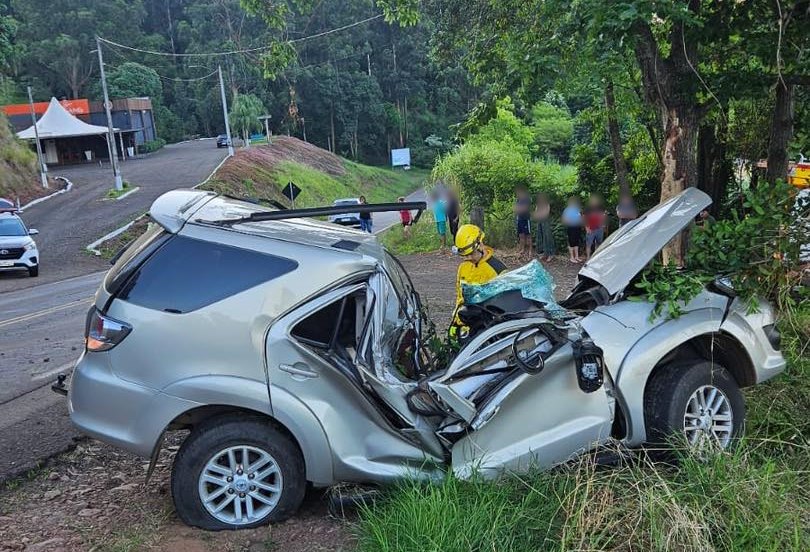 Condutor morre após caminhonete colidir com árvore