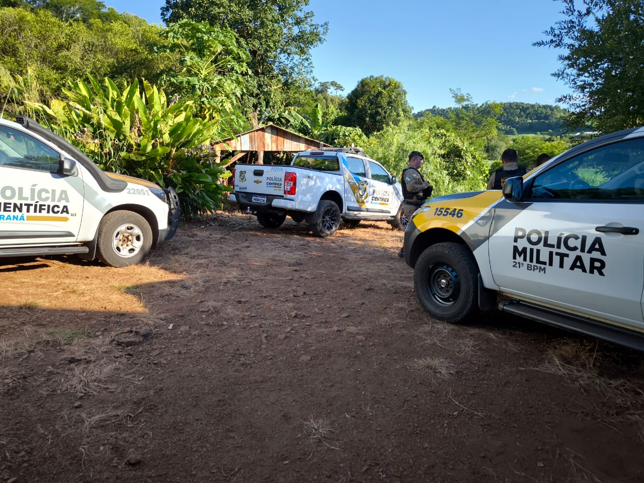 Homem tem surto psicótico, bate a cabeça em parede e morre