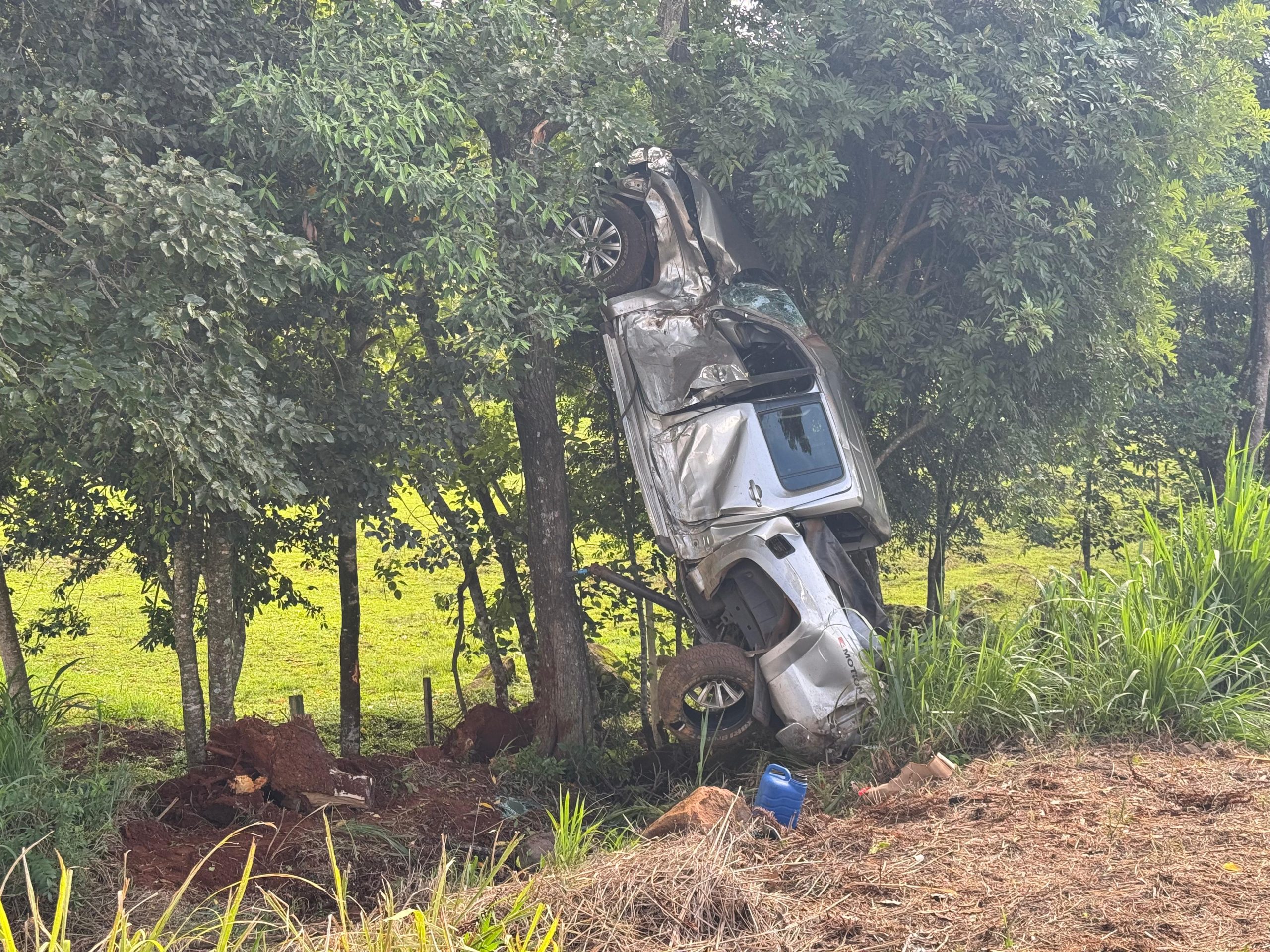 Caminhonete sai da pista e fica suspensa em árvore na PR-566