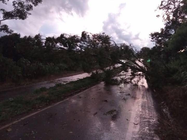 Temporal causa estragos em município da região