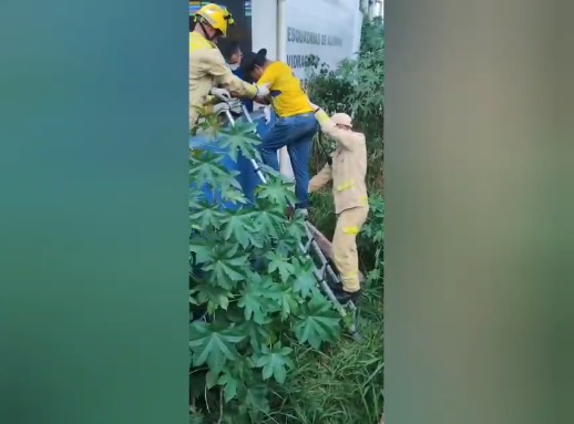 Vídeo: Homem que mora embaixo de ponte sofre queda e é socorrido pelo Corpo de Bombeiros