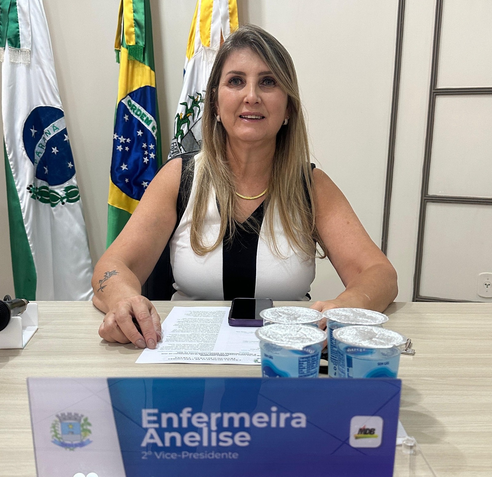 Vereadora Anelise pede espaço de acolhimento para mulheres vítimas de violência