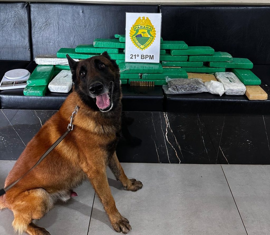Após troca de informações com a Receita Federal, PM apreende grande quantidade de drogas