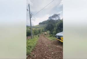 Homem procurado pela Justiça morre em confronto com a PM em Coronel Vivida