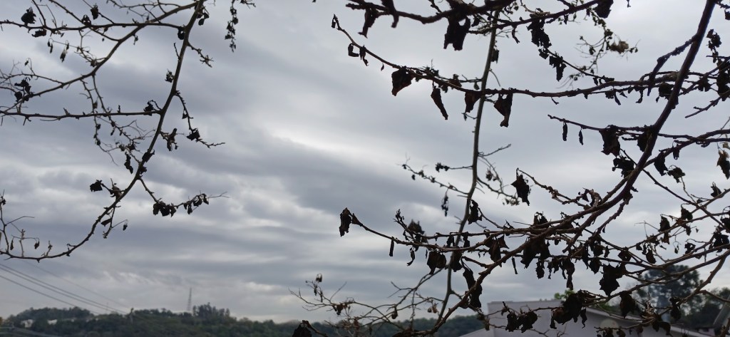 El Niño deve provocar chuva acima da média e  temporais no Paraná até dezembro
