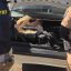 Polícia Militar e Polícia Rodoviária Federal apreendem 100 quilos de maconha em Marmeleiro